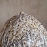 Lunar Pod II by Natalya Seva