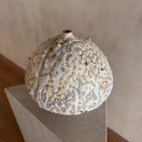 Lunar Pod II by Natalya Seva