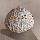 Lunar Pod II by Natalya Seva