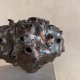 Obsidian Bloom by Natalya Seva