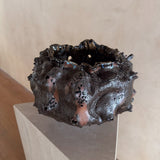 Obsidian Bloom by Natalya Seva