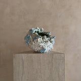 Fragments of a Sea Moon Jar by Natalya Seva