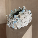 Fragments of a Sea Moon Jar by Natalya Seva
