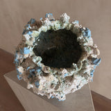 Fragments of a Sea Moon Jar by Natalya Seva