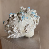 Fragments of a Sea Moon Jar by Natalya Seva