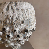 Tidal Relic Vessel by Natalya Seva