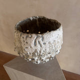 Tidal Relic Vessel by Natalya Seva