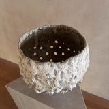 Tidal Relic Vessel by Natalya Seva