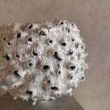 Lunar Coral Vessel by Natalya Seva