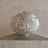 Lunar Pod I by Natalya Seva