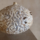 Lunar Pod I by Natalya Seva