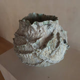 Awakening Bloom Vase IV by April Johnston