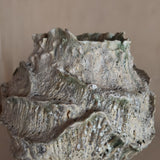 Awakening Bloom Vase IV by April Johnston