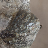 Woodland Vase by April Johnston