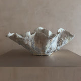 Large White Reef Open Vessel by April Johnston