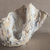 Large White Reef Open Vessel by April Johnston