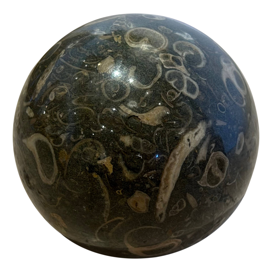 Decorative Carved Fossil Stone Sphere