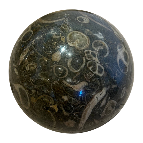 Decorative Carved Fossil Stone Sphere