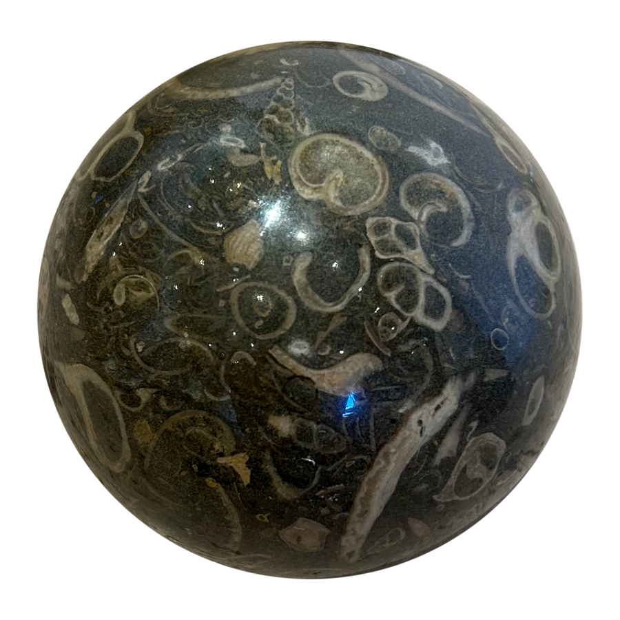 Decorative Carved Fossil Stone Sphere