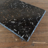 Orthoceras Fossil Limestone Coffee Table