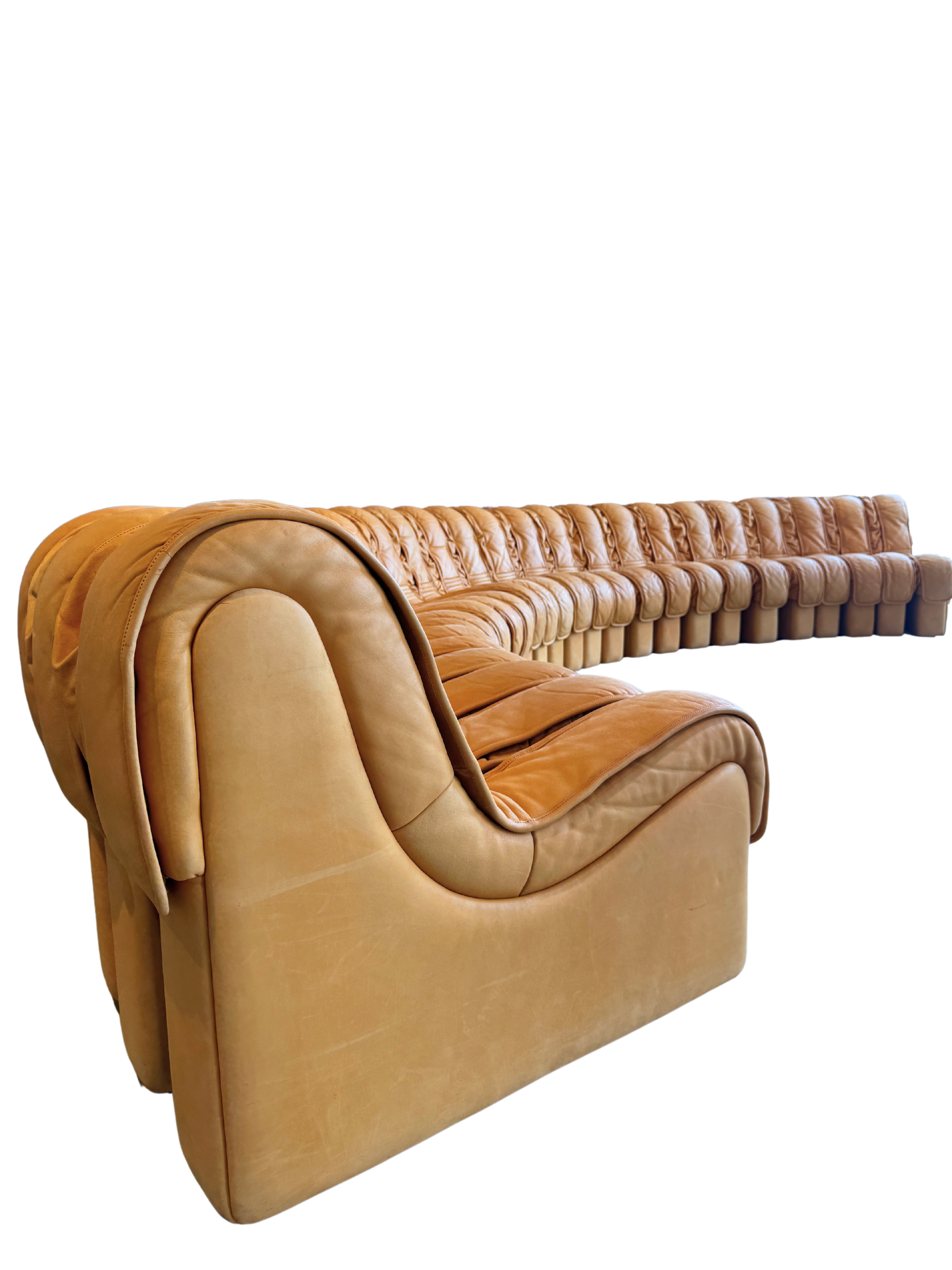 Vintage 1970s De Sede DS600 Nonstop 'Snake' Sectional Sofa