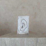 Plaster Cast Ear Sculpture