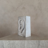 Plaster Cast Ear Sculpture