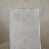 Plaster Cast Ear Sculpture