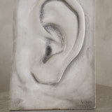Plaster Cast Ear Sculpture