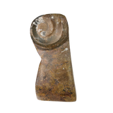 Ammonite Fossil Sculpture