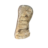 Ammonite Fossil Sculpture