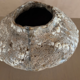 Small Orbicella Low Vessel
