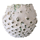 Large Ceramic Punctured Vessel by Natalya Seva