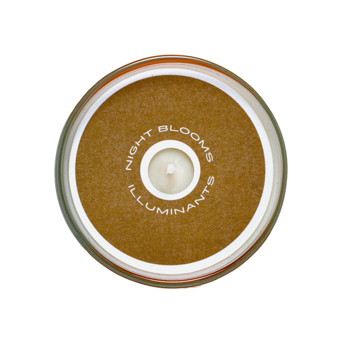 Night Blooms Goods - Prickly Wild Rose Candle