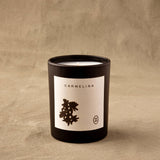 Wilkin & May - Carmelina Candle