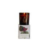 The Quiet Botanist - Moody Blooms Candle