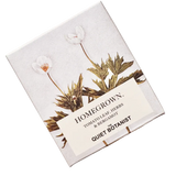 The Quiet Botanist - Home Grown Candle